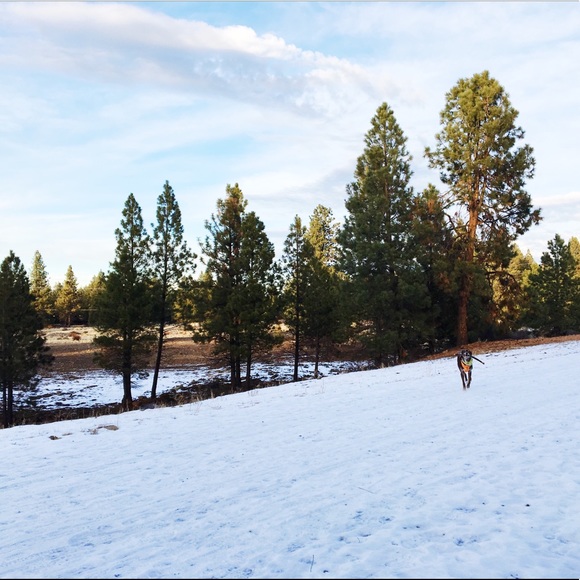 Meet your Posher, K - Picture 1 of 1